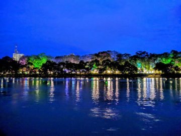 Monteria-turismo
