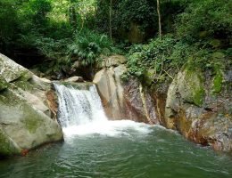 excursiones a Minca Santa Marta