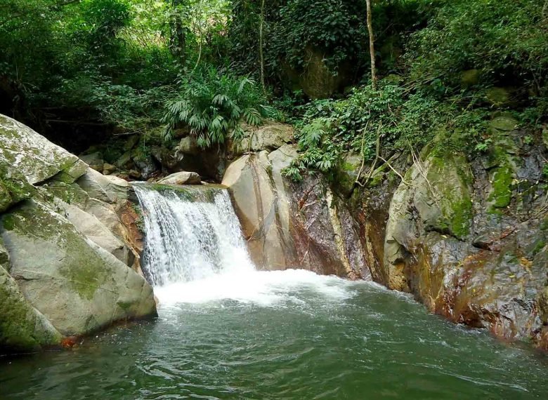 excursiones a Minca Santa Marta