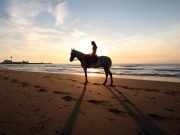 Excursion a Caballo en Cartagena