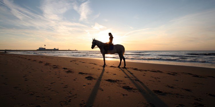 Excursion a Caballo en Cartagena