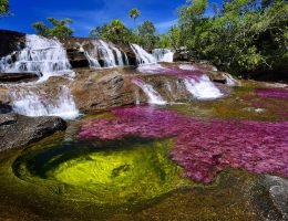 Visita Caño Cristales Colombia