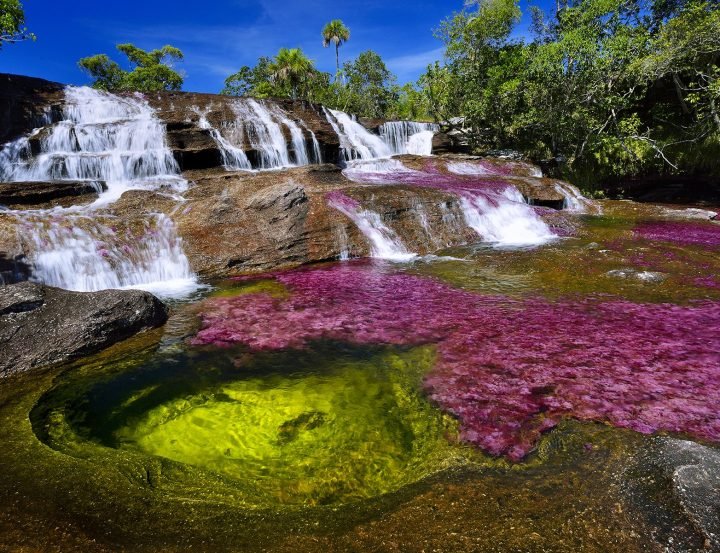 Visita Caño Cristales Colombia