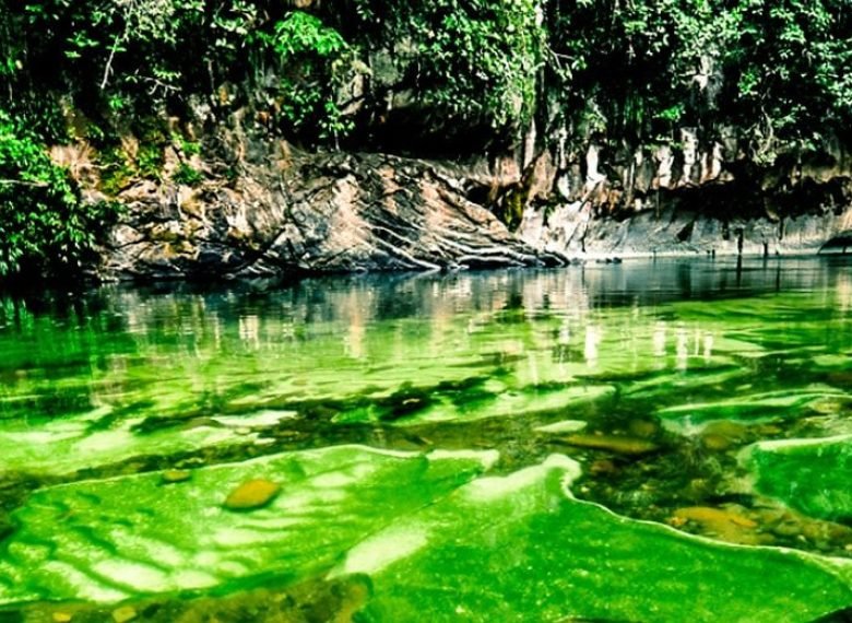 Cañón del Río Claro
