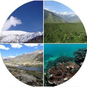 Encuentra aqui todo lo que necesitas para tus vacaciones, alquileres vacacionales, tours, alquiler de coches, barcos, clases. 