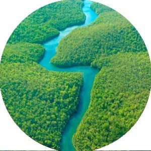 TOURS EN EL AMAZONAS