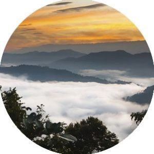 Encuentra aqui todo lo que necesitas para tus vacaciones, alquileres vacacionales, tours, alquiler de coches, barcos, clases. 