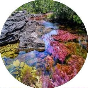 VISITA CANO CRISTALES