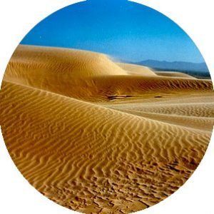 Encuentra aqui todo lo que necesitas para tus vacaciones, alquileres vacacionales, tours, alquiler de coches, barcos, clases. 