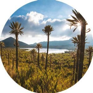 Encuentra aqui todo lo que necesitas para tus vacaciones, alquileres vacacionales, tours, alquiler de coches, barcos, clases. 